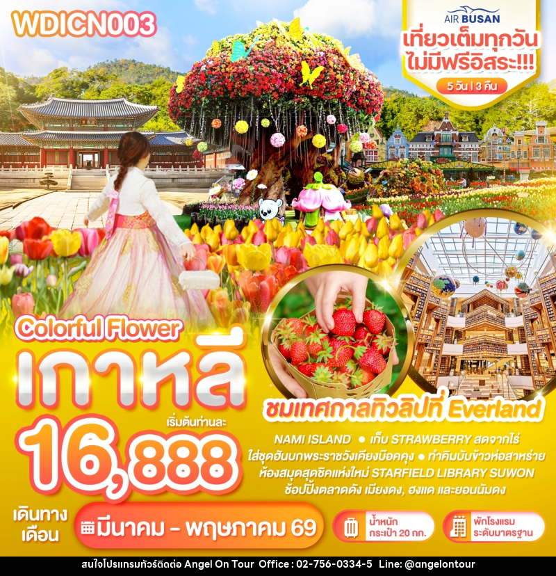 ทัวร์เกาหลี Colorful Flower ชมเทศกาลทิวลิปที่ Everland - บริษัท แองเจิลออนทัวร์ จำกัด