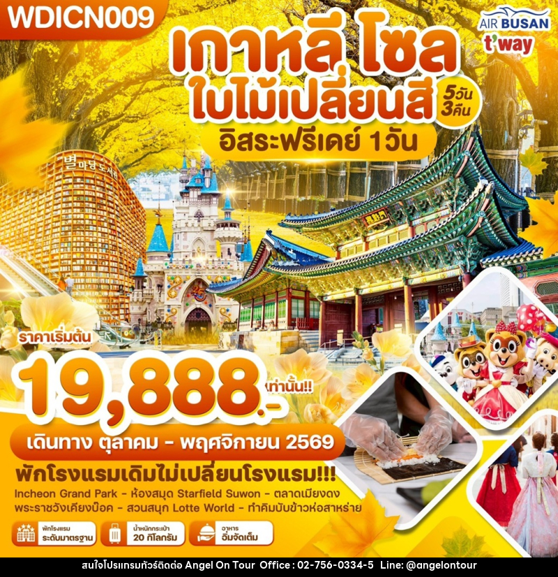 ทัวร์เกาหลี โซล ใบไม้เปลี่ยนสี อิสระฟรีเดย์ - บริษัท แองเจิลออนทัวร์ จำกัด