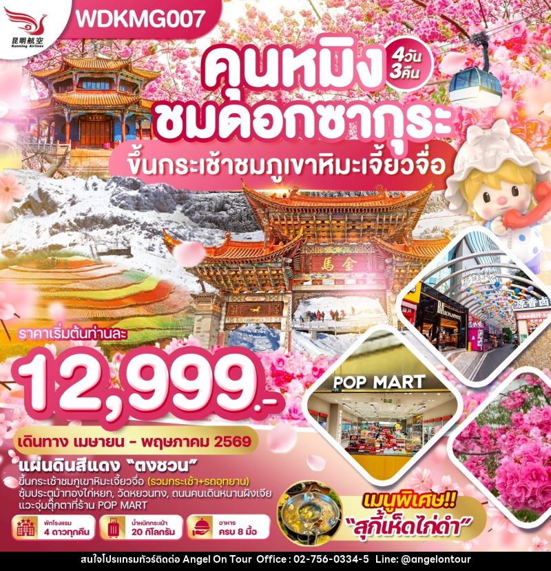 ทัวร์จีน คุนหมิง ชมดอกซากุระ ขึ้นกระเช้าชมภูเขาหิมะเจี้ยวจื่อ - บริษัท แองเจิลออนทัวร์ จำกัด