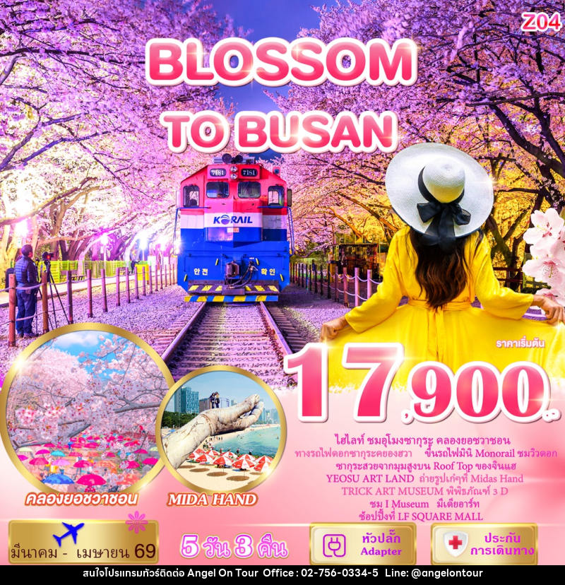 ทัวร์เกาหลี BLOSSOM TO BUSAN - บริษัท แองเจิลออนทัวร์ จำกัด