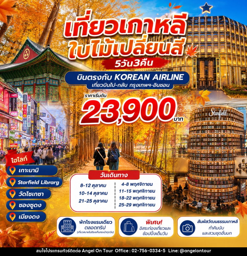 ทัวร์เกาหลี ชมใบไม้เปลี่ยนสี - บริษัท แองเจิลออนทัวร์ จำกัด