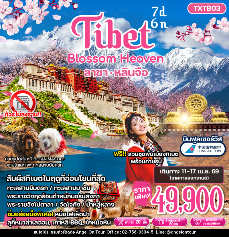 ทัวร์ทิเบต Tibet Blossom Heaven ลาซา หลินจือ - บริษัท แองเจิลออนทัวร์ จำกัด ทัวร์ทิเบต Tibet Blossom Heaven ลาซา หลินจือ - บริษัท แองเจิลออนทัวร์ จำกัด