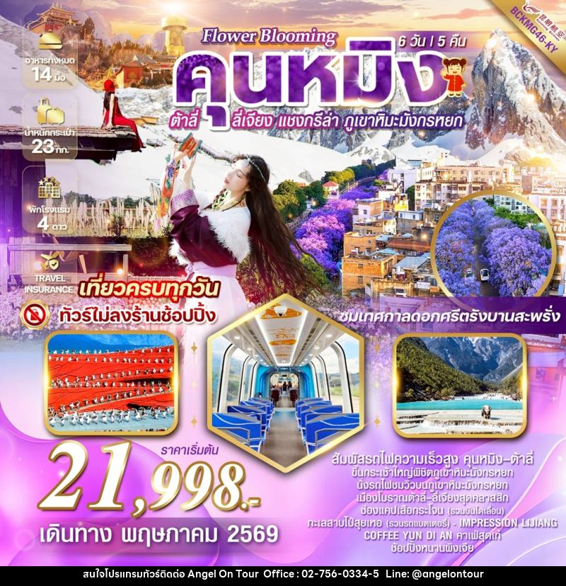 ทัวร์จีน Flower blooming Kunming  คุนหมิง ต้าลี่ ลี่เจียง แชงกรีล่า ภูเขาหิมะมังกรหยก - บริษัท แองเจิลออนทัวร์ จำกัด