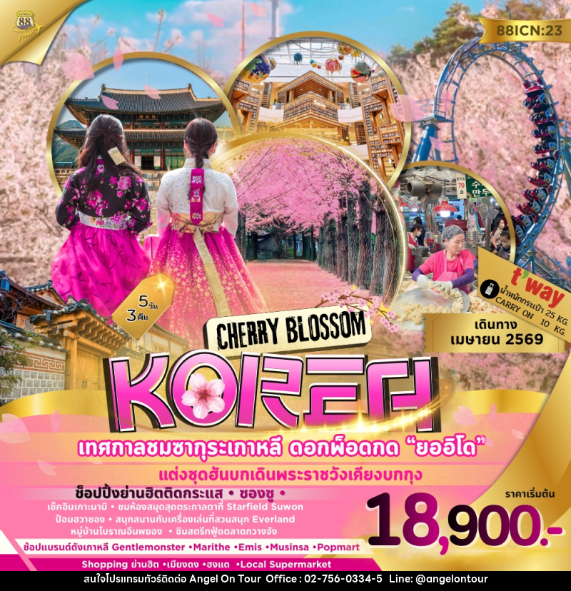 ทัวร์เกาหลี KOREA CHERRY BLOSSOM เทศกาลชมซากุระเกาหลี ดอกพ็อดกด - บริษัท แองเจิลออนทัวร์ จำกัด