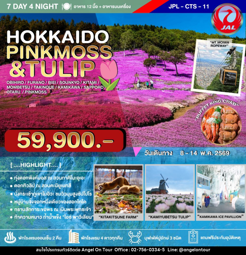 ทัวร์ญี่ปุ่น HOKKAIDO PINKMOSS & TULIP - บริษัท แองเจิลออนทัวร์ จำกัด