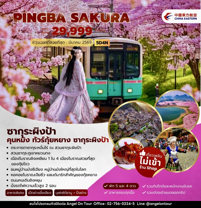ทัวร์จีน PINGBA SAKURA คุนหมิง ทัวร์กุ้ยหยาง ซากุระผิงป้า - บริษัท แองเจิลออนทัวร์ จำกัด