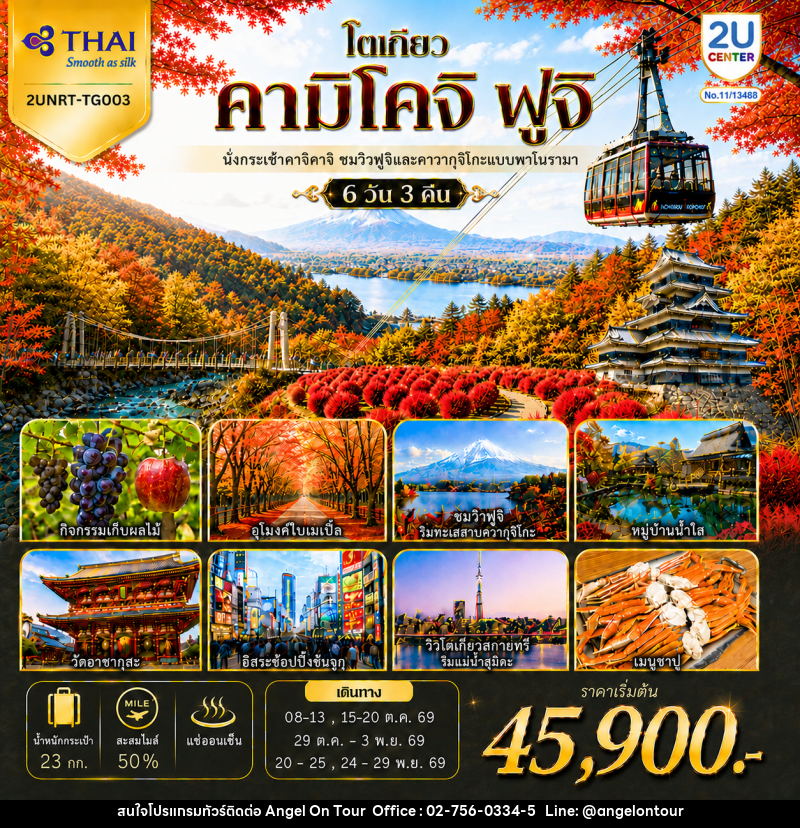 ทัวร์ญี่ปุ่น โตเกียว คามิโคจิ ฟูจิ นั่งกระเช้าคาจิคาจิ AUTUMN FULL BLOOM - บริษัท แองเจิลออนทัวร์ จำกัด
