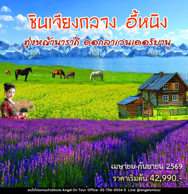 ทัวร์จีน ซินเจียงกลาง อี้หนิง ทุ่งหญ้านาราถี ดอกลาเวนเดอร์บาน - บริษัท แองเจิลออนทัวร์ จำกัด