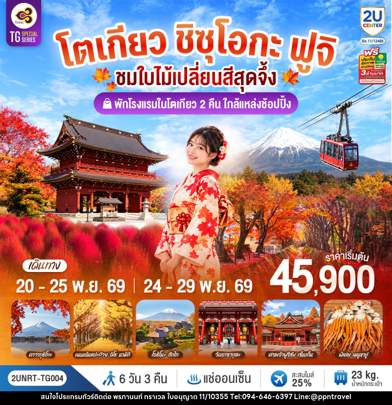 ทัวร์ญี่ปุ่น โตเกียว ชิซุโอกะ ฟูจิ นั่งกระเช้าคาจิคาจิ ชมใบไม้เปลี่ยนสีสุดจึ้ง - บริษัท พรภานนท์ ทราเวล จำกัด