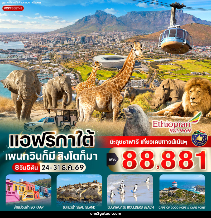 ทัวร์แอฟริกาใต้ แพนกวินก็มี สิงโตก็มา - ทัวร์แอฟริกาใต้ แพนกวินก็มี สิงโตก็มา -