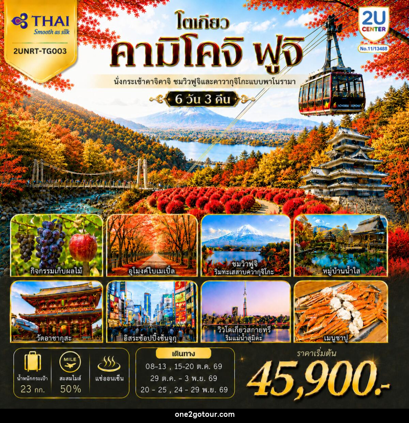 ทัวร์ญี่ปุ่น โตเกียว คามิโคจิ ฟูจิ นั่งกระเช้าคาจิคาจิ AUTUMN FULL BLOOM - 