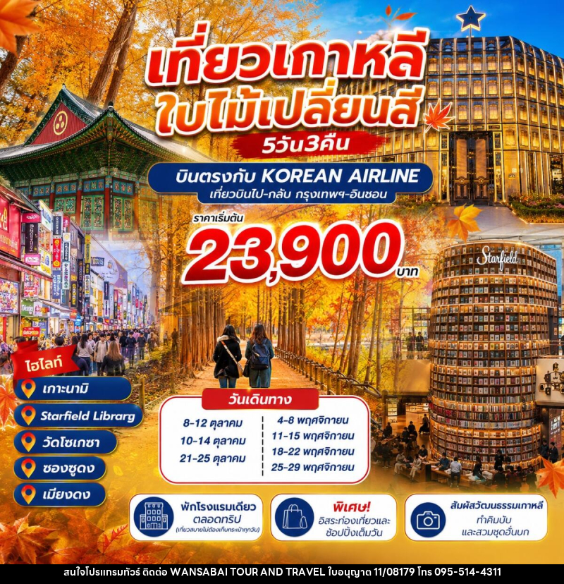 ทัวร์เกาหลี ชมใบไม้เปลี่ยนสี - WANSABAI TOUR AND TRAVEL ทัวร์เกาหลี ชมใบไม้เปลี่ยนสี - WANSABAI TOUR AND TRAVEL