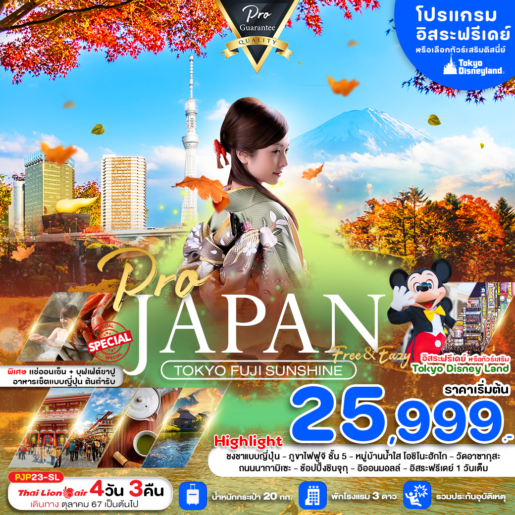 ทัวร์ญี่ปุ่น JAPAN TOKYO FUJI SUNSHINE - Boss Holiday