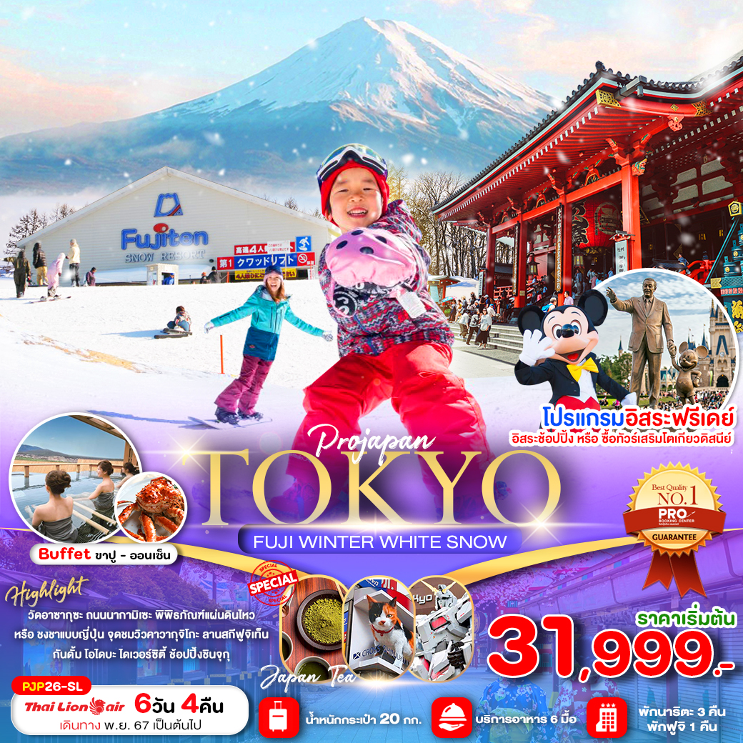 ทัวร์ญี่ปุ่น TOKYO FUJI WINTER WHITE SNOW - 34/02988