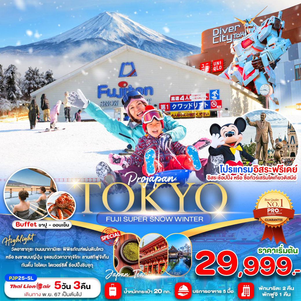 ทัวร์ญี่ปุ่น TOKYO FUJI SNOW PEACH - ทัวร์อินไทย แอนด์ อะเมซิ่ง แทรเวิล