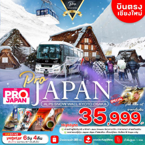 ทัวร์ญี่ปุ่น  ALPS SNOW WALL KYOTO OSAKA  - บริษัท กูรูทริป จำกัด