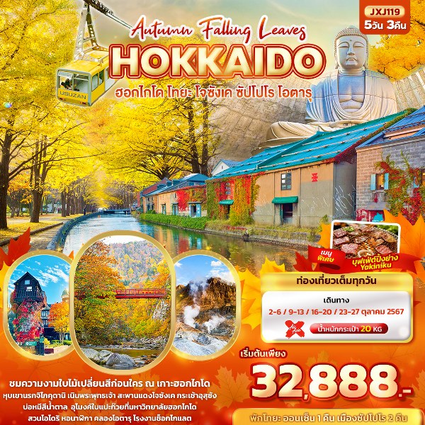 ทัวร์ญี่ปุ่น Hokkaido Autumn Falling Leaves  ฮอกไกโด โทยะ โจซังเค ซัปโปโร โอตารุ  - DESIGN HOLIDAYS