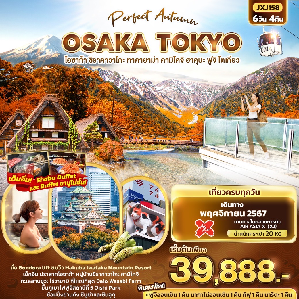 ทัวร์ญี่ปุ่น Perfect Autumn OSAKA TOKYO โอซาก้า ชิราคาวาโกะ ทาคายาม่า คามิโคจิ ฮาคุบะ ฟูจิ โตเกียว - ทัวร์อินไทย แอนด์ อะเมซิ่ง แทรเวิล