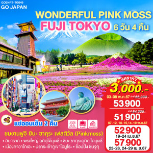 ทัวร์ญี่ปุ่น WONDERFUL PINK MOSS FUJI TOKYO - บริษัท คุณชาย ออล อิน วัน จำกัด(ทัวร์คุณชาย)