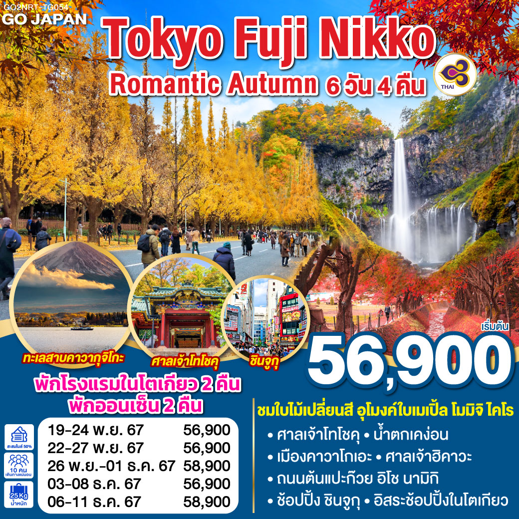 ทัวร์ญี่ปุ่น TOKYO FUJI NIKKO ROMANTIC AUTUMN - 34/02988