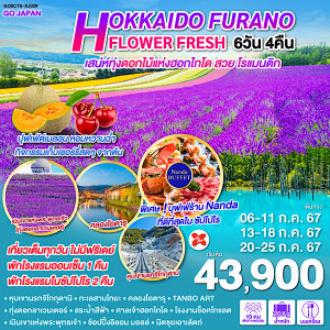 ทัวร์ญี่ปุ่น HOKKAIDO FURANO FLOWER FRESH  - บริษัท แกรนด์ทูเก็ตเตอร์ จำกัด