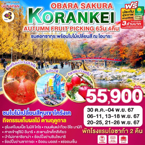 ทัวร์ญี่ปุ่น KORANKEI OBARA SAKURA & AUTUMN FRUIT PICKING - Sunsmile Booking and Travel Service