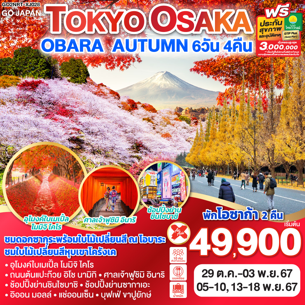 ทัวร์ญี่ปุ่น TOKYO OSAKA OBARA AUTUMN - 34/02988