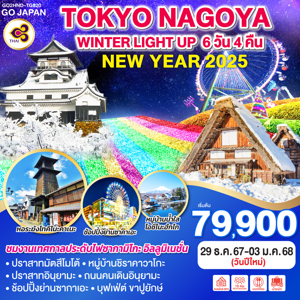 ทัวร์ญี่ปุ่น TOKYO NAGOYA WINTER LIGHT UP NEW YEAR - Sunsmile Booking and Travel Service