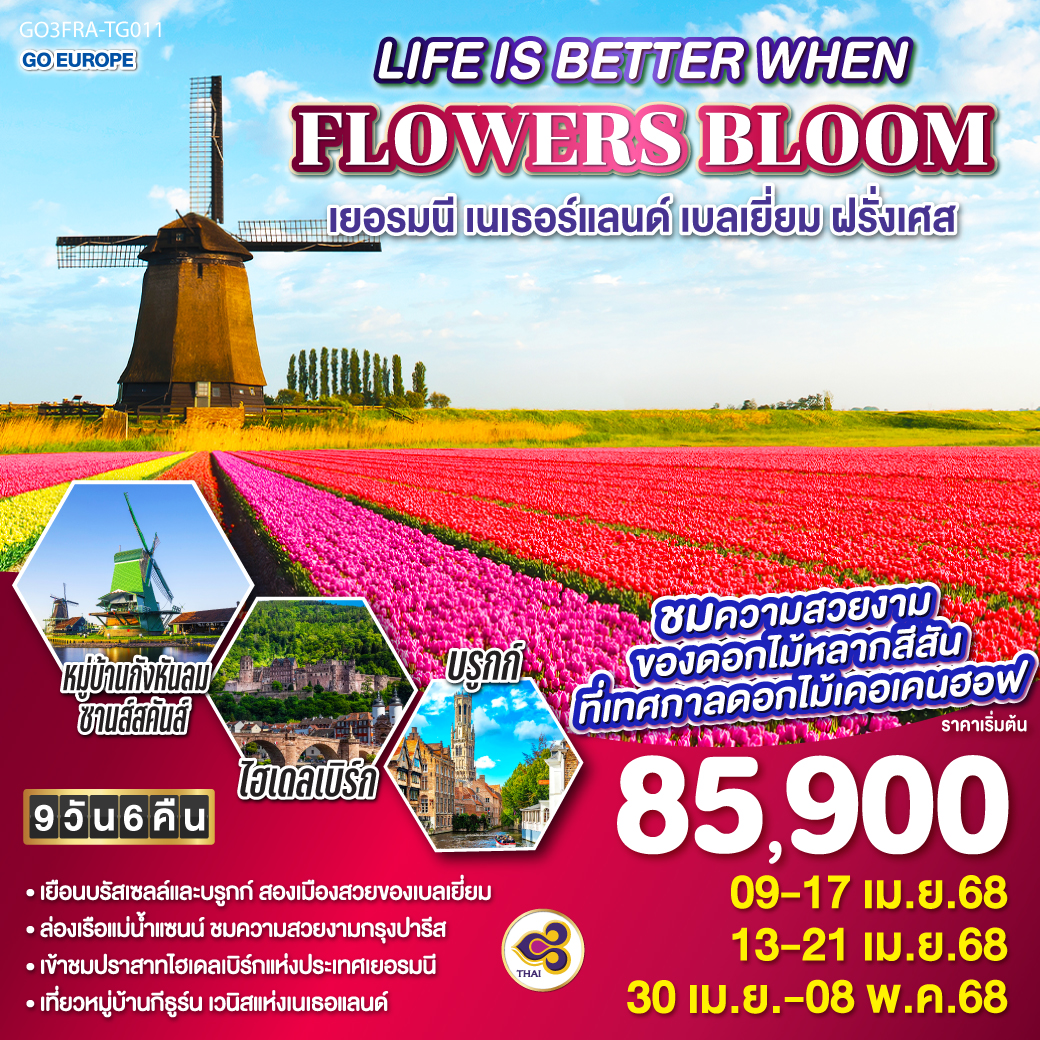 ทัวร์ยุโรป LIFE IS BETTER WHEN FLOWERS BLOOM เยอรมนี เนเธอร์แลนด์ เบลเยี่ยม ฝรั่งเศส - เดอะวัน แทรเวล เอเจนซี่ 