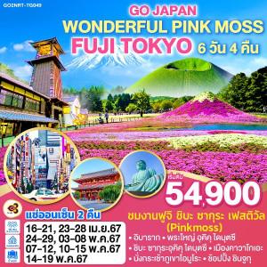 ทัวร์ญี่ปุ่น WONDERFUL PINK MOSS FUJI TOKYO - บริษัท บีที ฮอลิเดย์ จำกัด