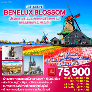 ทัวร์ยุโรป BENELUX BLOSSOM  ฝรั่งเศส เบลเยี่ยม ลักเซมเบิร์ก เยอรมนี เนเธอร์แลนด์  - JS888 Holiday