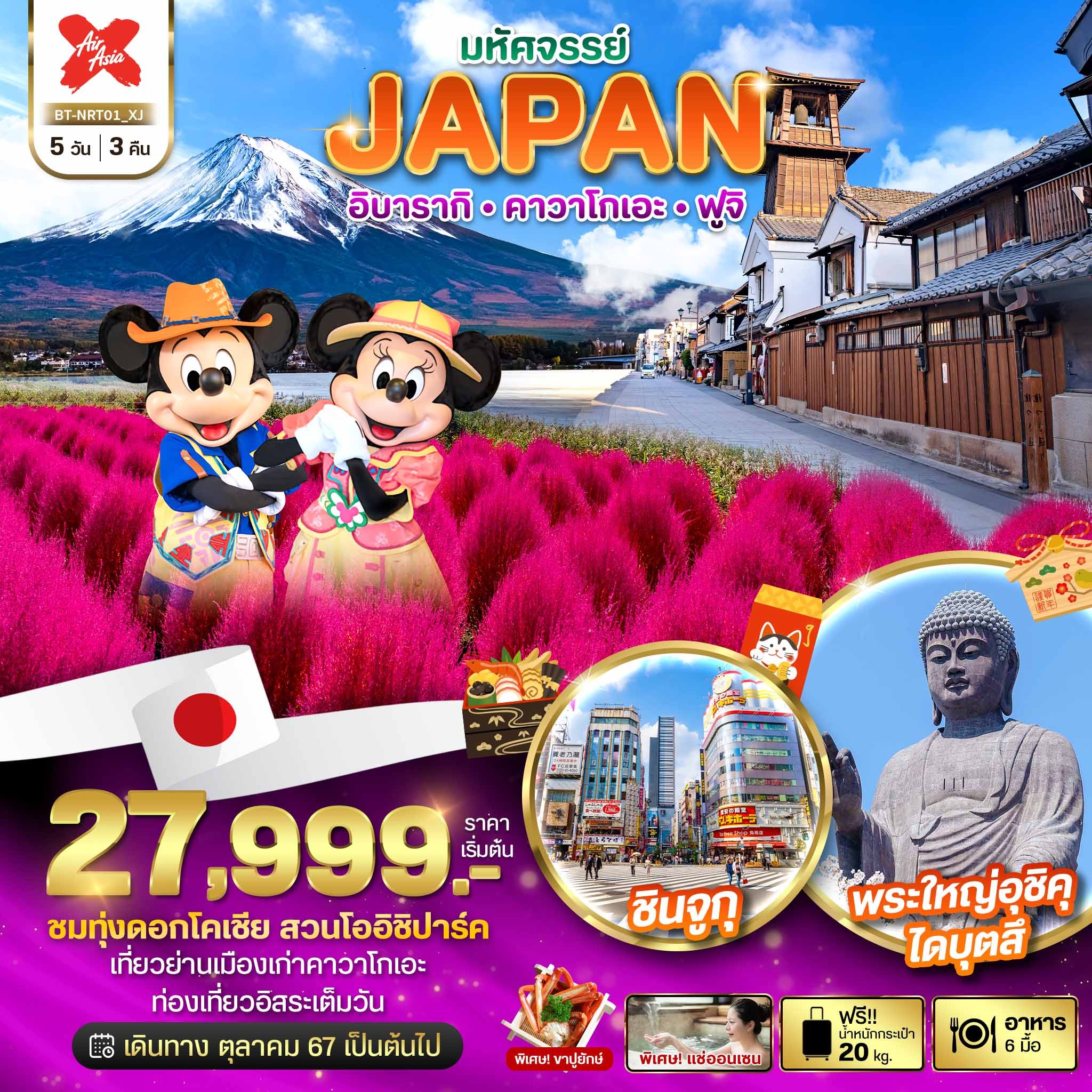 ทัวร์ญี่ปุ่น มหัศจรรย์...JAPAN อิบารากิ คาวาโกเอะ ฟูจิ - 34/02988