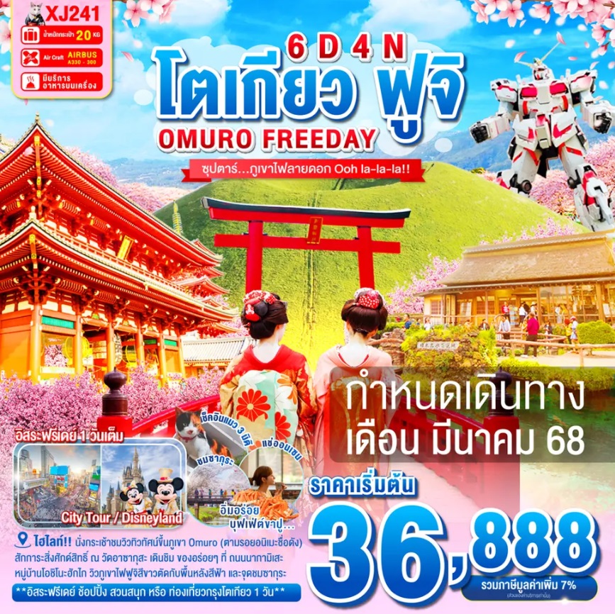 ทัวร์ญี่ปุ่น โตเกียว ฟูจิ OMURO FREEDAY - บริษัท ดี อินเตอร์ กรุ๊ป จำกัด