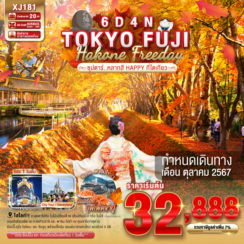 ทัวร์ญี่ปุ่น TOKYO FUJI HAKONE FREEDAY - D.D.Tour