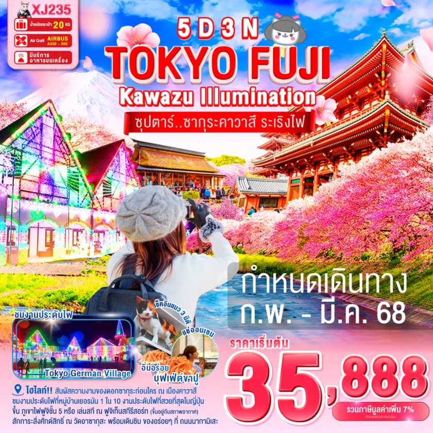 ทัวร์ญี่ปุ่น TOKYO FUJI KAWAZU ILLUMINATION  ซุปตาร์..ซากุระคาวาสึ ระเริงไฟ - SODA MANAGEMENT CO.,LTD