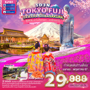 ทัวร์ญี่ปุ่น TOKYO FUJI SAWARA SHIBASAKURA - B2K HOLIDAYS