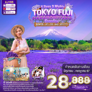 ทัวร์ญี่ปุ่น TOKYO FUJI HANANOMIYAKO FREEDAY - At Ubon Travel Co.,Ltd.