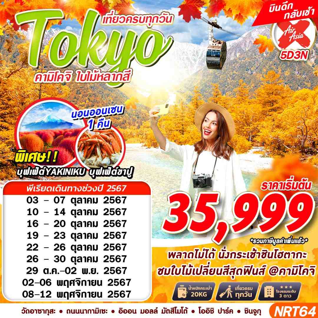 ทัวร์ญี่ปุ่น TOKYO คามิโคจิ ใบไม้หลากสี - 34/02988