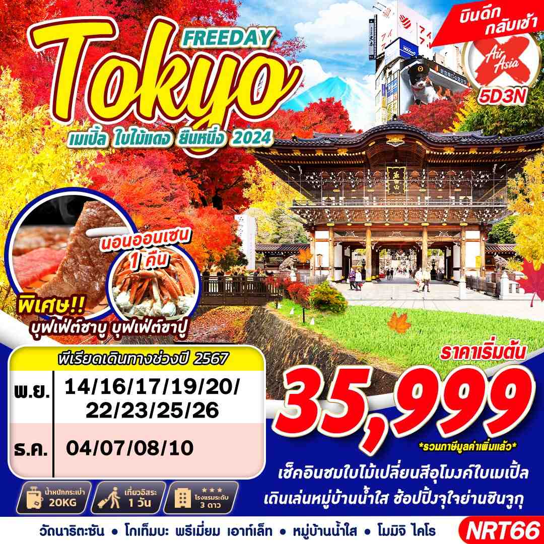 ทัวร์ญี่ปุ่น TOKYO เมเปิ้ล ใบไม้แดง ยืนหนึ่ง 2024 - 34/02988