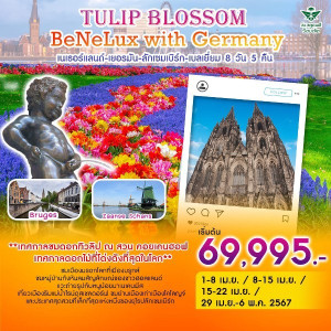 ทัวร์ยุโรป Tulip Blossom BeNeLux with Germany เนเธอร์แลนด์-เยอรมัน-ลักเซมเบิร์ก-เบลเยี่ยม  - บริษัท ด็อกเตอร์ ออน ทัวร์ เทรเวิล แอนด์ เอเจนซี่ จำกัด