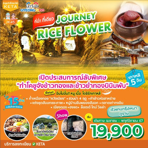 ทัวร์เกาหลี Journey Rice Flower - บริษัท โรมิโอ โวยาจ จำกัด
