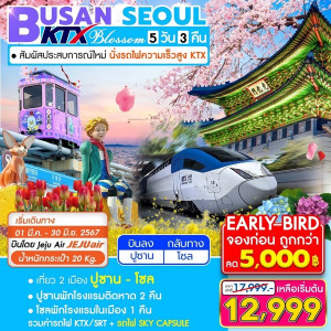ทัวร์เกาหลี BUSAN SEOUL  - บริษัท ดับเบิล ชายน์ ทราเวล จำกัด