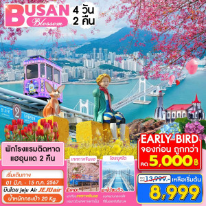 ทัวร์เกาหลี ปูซาน Blossom - JS888 Holiday