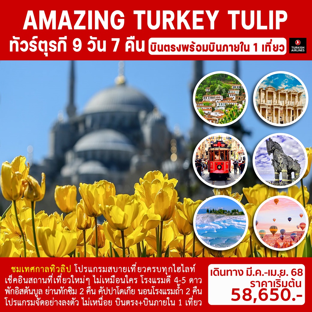 ทัวร์ตุรกี AMAZING TURKEY TULIP - 34/02988