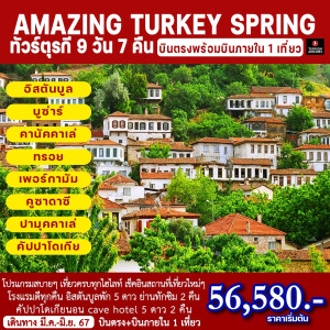 ทัวร์ตุรกี  AMAZING TURKEY SPRING - บริษัท ดับเบิล ชายน์ ทราเวล จำกัด