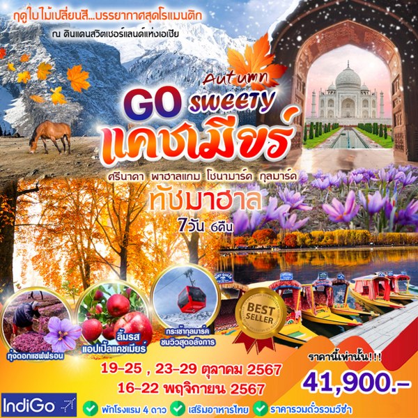 ทัวร์แคชเมียร์ GO SWEETY AUTUMN  - SODA MANAGEMENT CO.,LTD