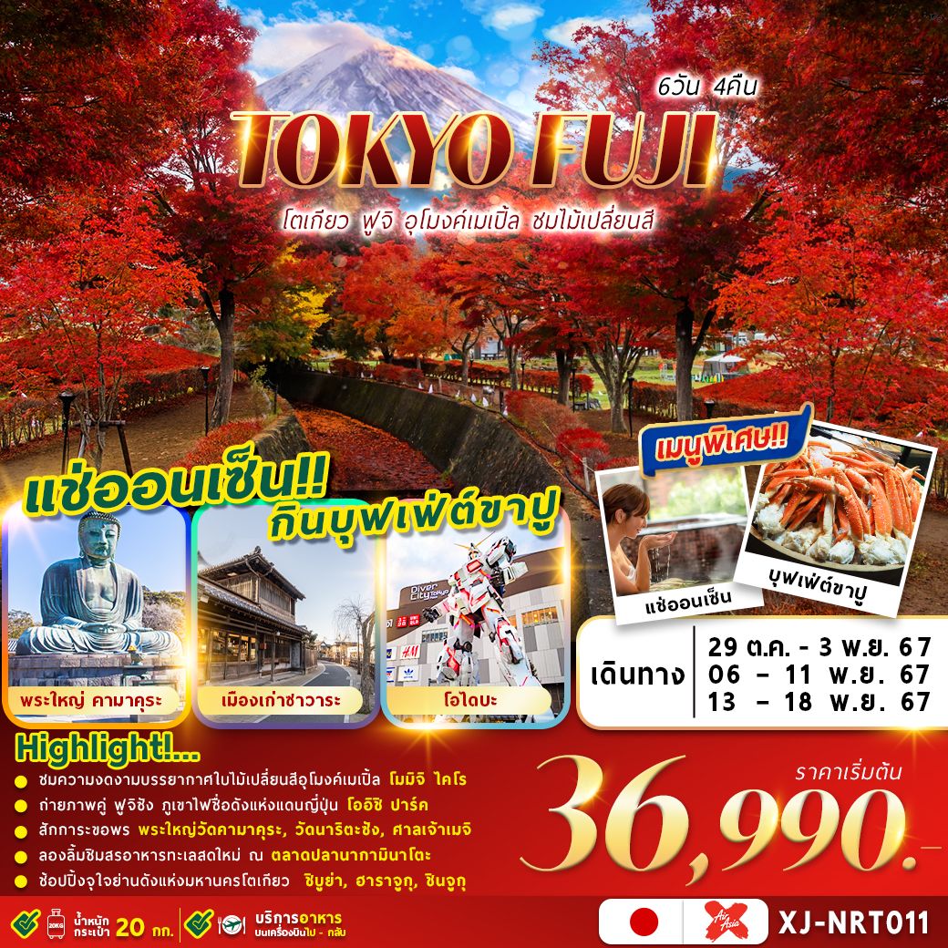 ทัวร์ญี่ปุ่น TOKYO FUJI AUTUMN - Punyim tour