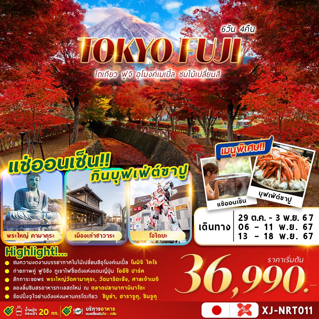 ทัวร์ญี่ปุ่น TOKYO FUJI โตเกียว ฟูจิ อุโมงค์เมเปิ้ล ชมใบไม้เปลี่ยนสี  - SAWASDEE THAILAND TRAVEL