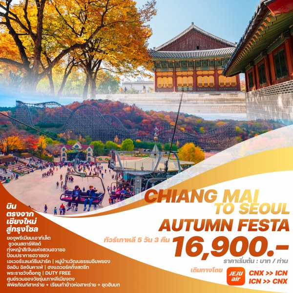 ทัวร์เกาหลี CHIANG MAI TO SEOUL AUTUMN FESTA  - SAWASDEE THAILAND TRAVEL