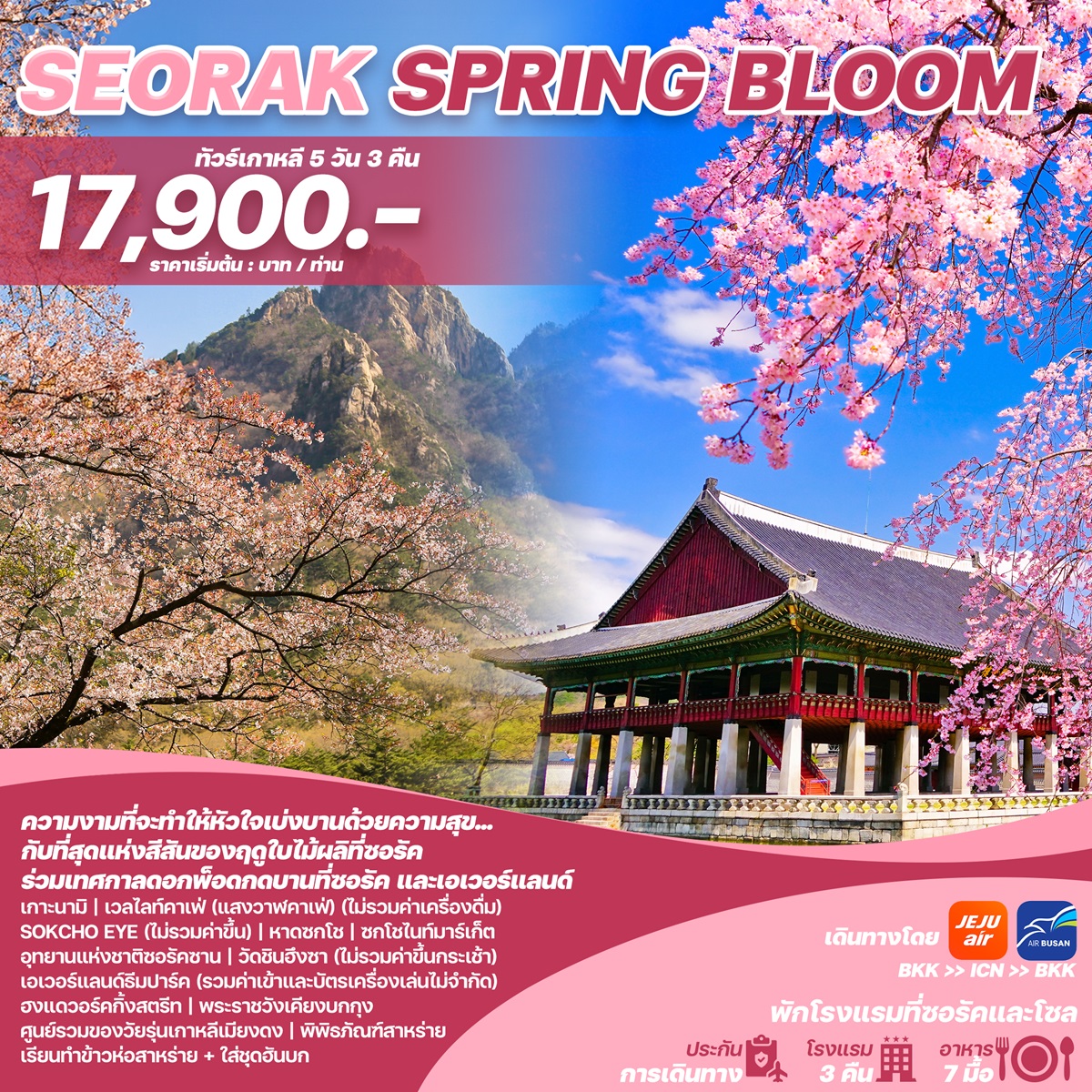 ทัวร์เกาหลี SEORAK SPRING BLOOM - Jaravee Tour 